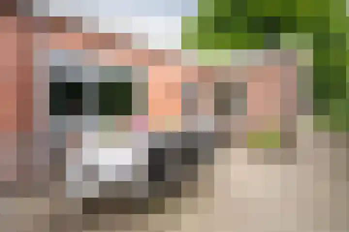 Hunenbaan 4 Emmen thumbnail 29