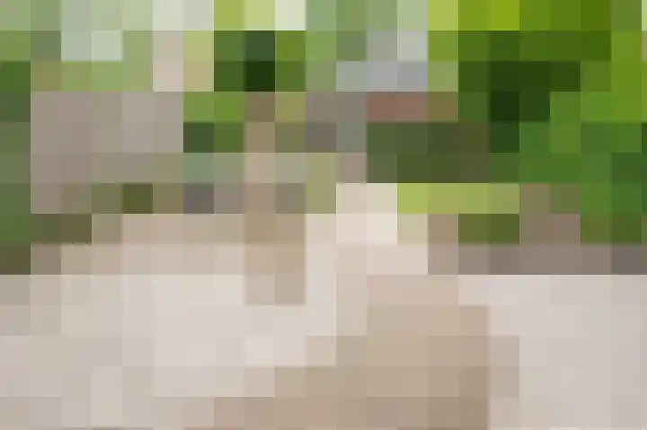 Hunenbaan 4 Emmen thumbnail 32