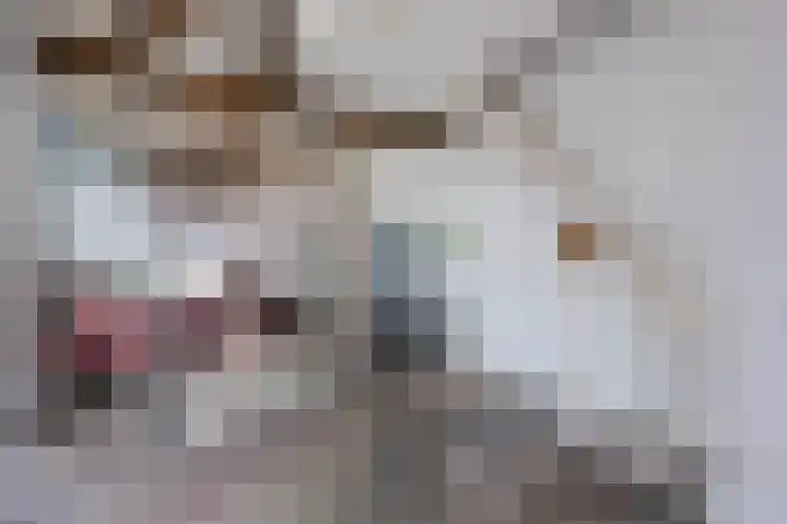 Hunnecum 4 b Nuth thumbnail 12