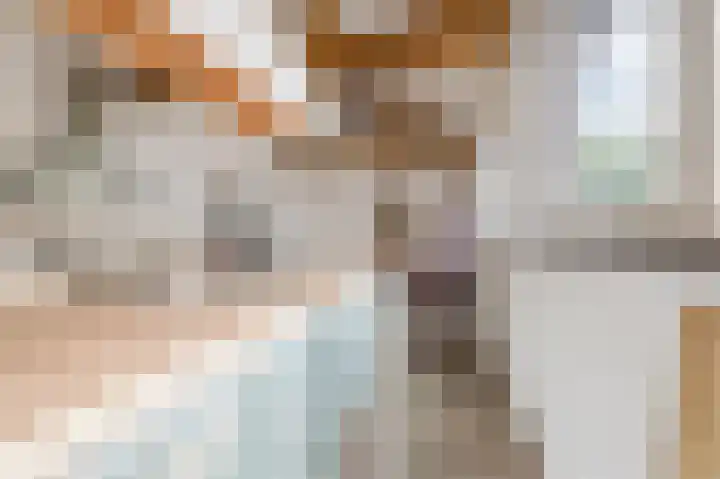 Hunnecum 4 b Nuth thumbnail 18