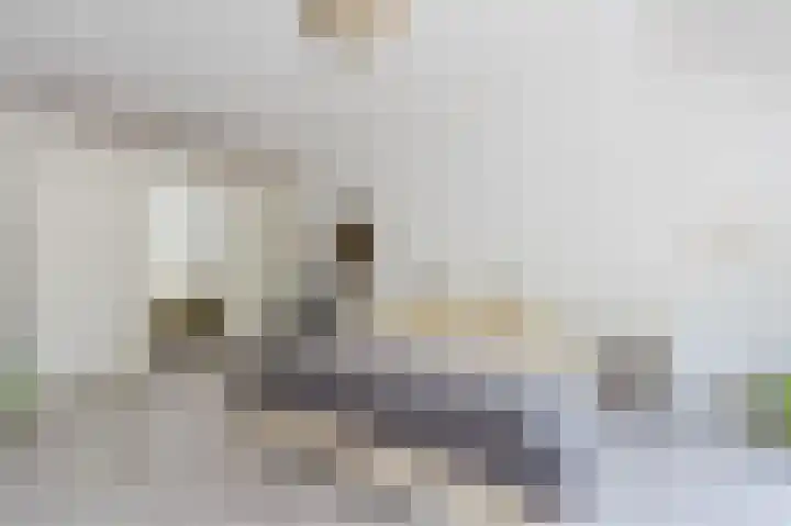 Hunnecum 4 b Nuth thumbnail 28