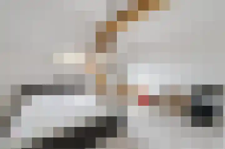 Hunnecum 4 b Nuth thumbnail 30