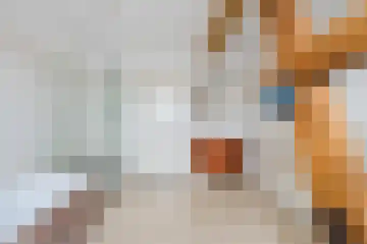 Hunnecum 4 b Nuth thumbnail 34