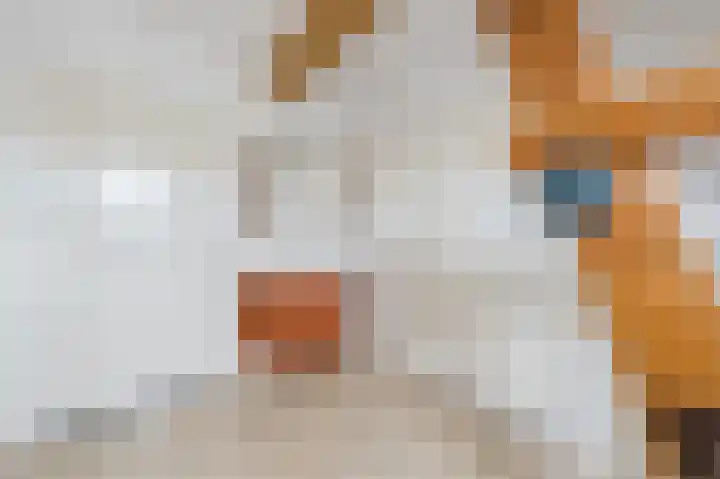 Hunnecum 4 b Nuth thumbnail 35