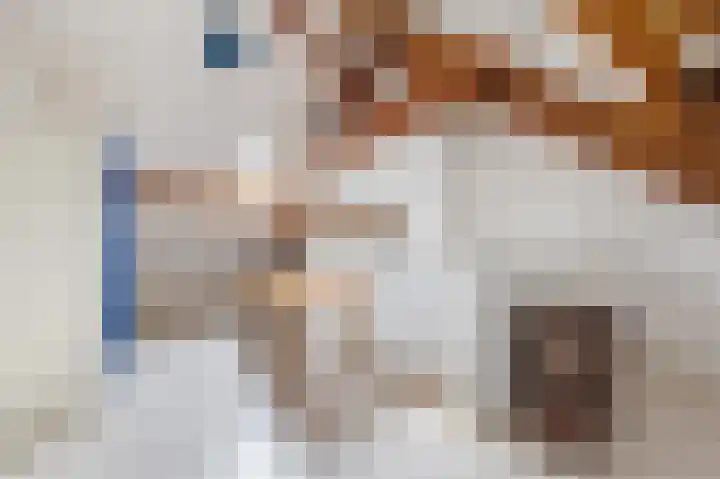 Hunnecum 4 b Nuth thumbnail 36