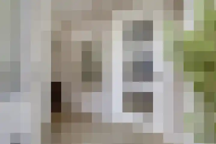 Hunneschansallee 36 Duiven thumbnail 10