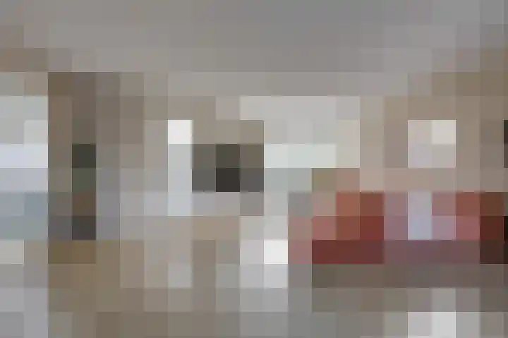 Hunneschansallee 36 Duiven thumbnail 13