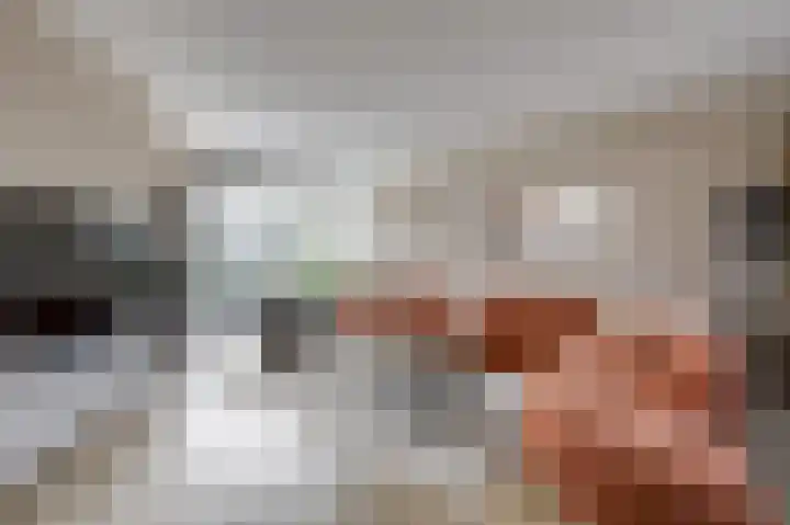 Hunneschansallee 36 Duiven thumbnail 15