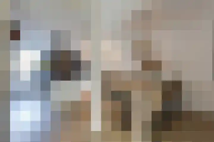 Hunneschansallee 36 Duiven thumbnail 16