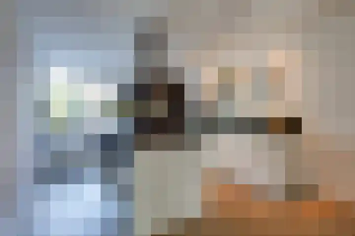 Hunneschansallee 36 Duiven thumbnail 17
