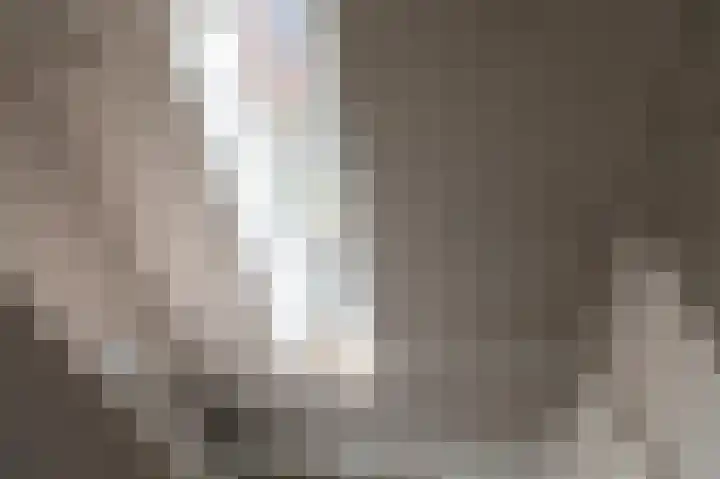 Hunneschansallee 36 Duiven thumbnail 23