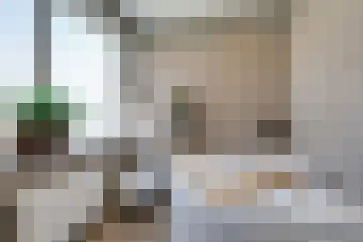Hunneschansallee 36 Duiven thumbnail 30