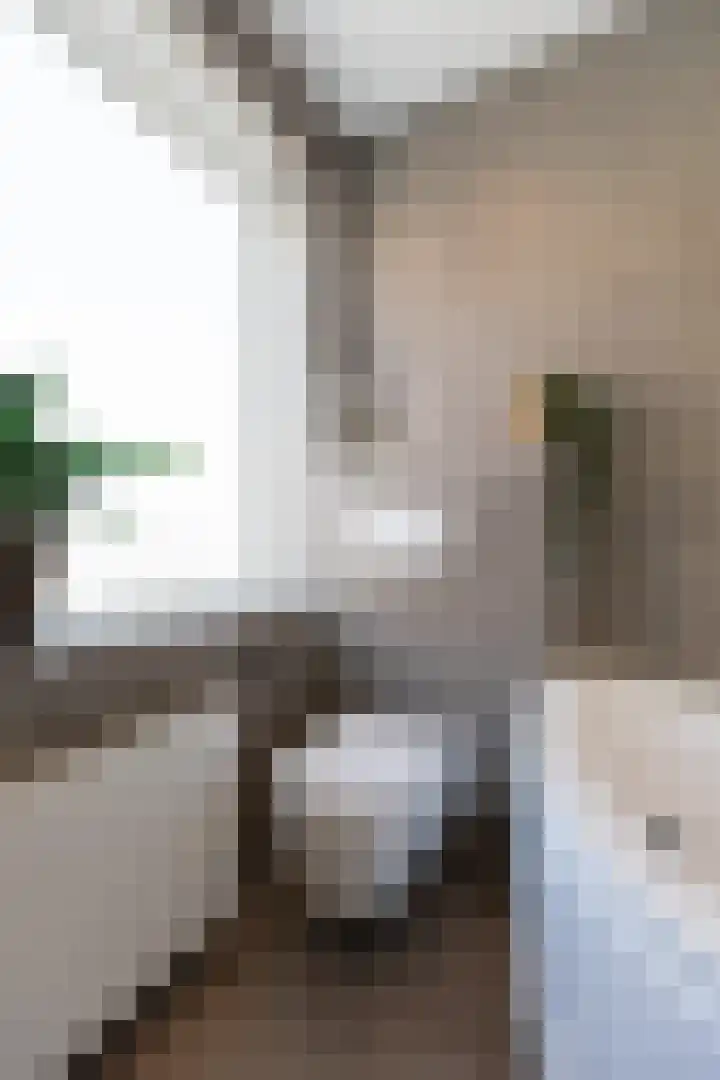 Hunneschansallee 36 Duiven thumbnail 32