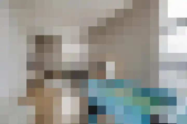 Hunneschansallee 36 Duiven thumbnail 40