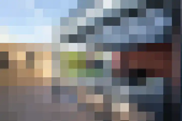 Hunneschansallee 36 Duiven thumbnail 42