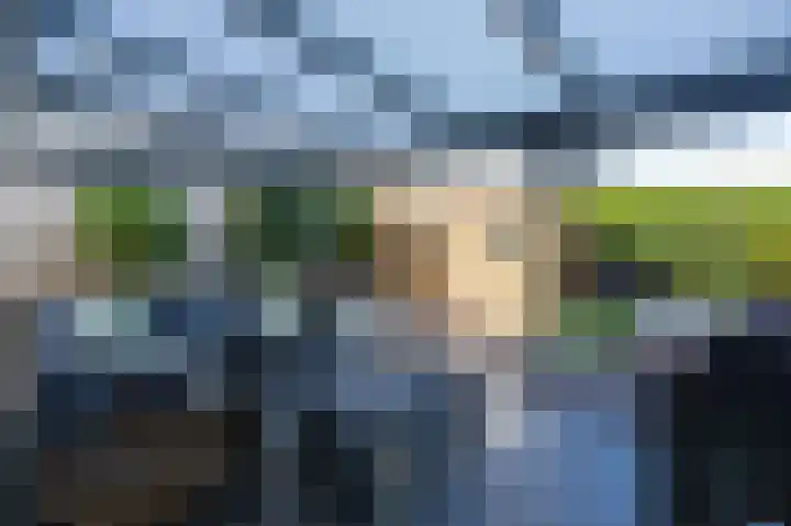 Hunneschansallee 36 Duiven thumbnail 43