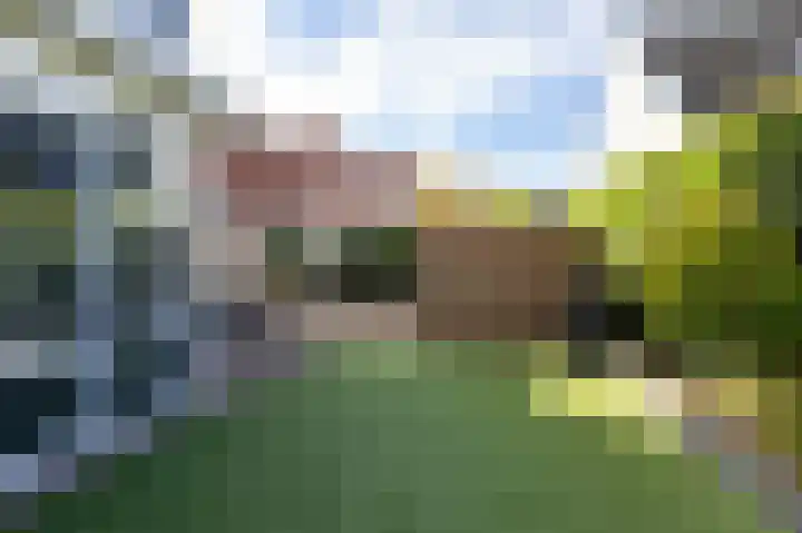 Hunneschansallee 36 Duiven thumbnail 46