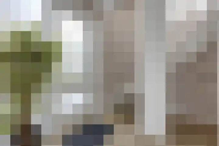 Hunneschansallee 36 Duiven thumbnail 8