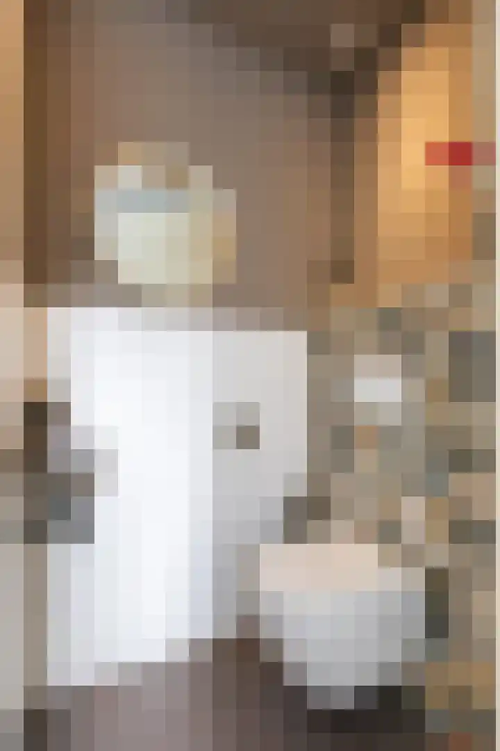 Hunneschansallee 36 Duiven thumbnail 9