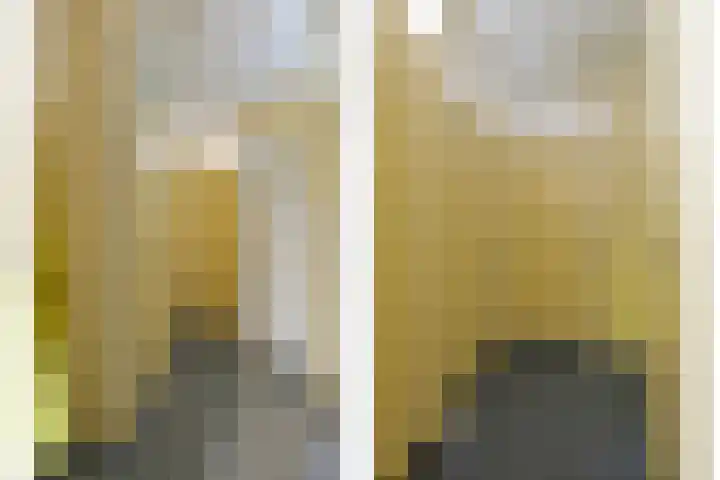 Hunse 38 Eenrum thumbnail 13