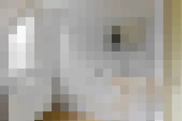 Hunse 38 Eenrum thumbnail 20
