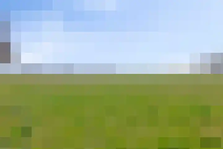 Hunse 38 Eenrum thumbnail 28