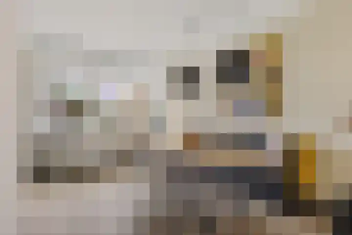 Hunze 135 Drachten thumbnail 6