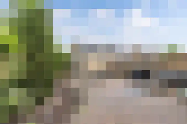 Hunze 171 Drachten thumbnail 28