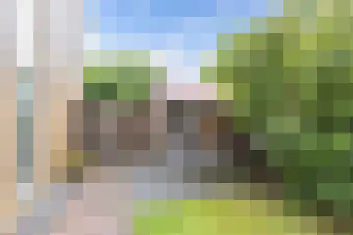 Hunze 171 Drachten thumbnail 29