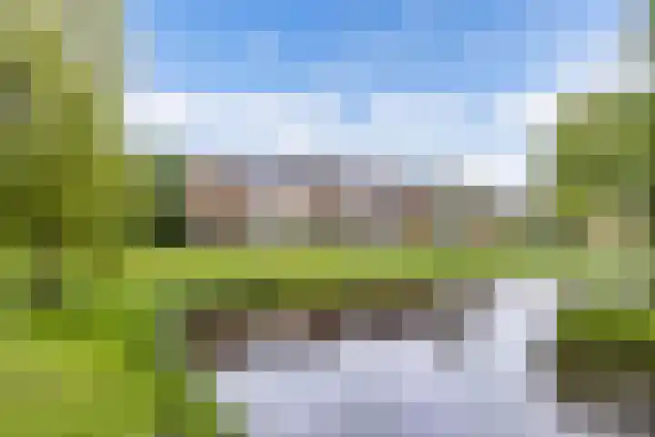 Hunze 171 Drachten thumbnail 31
