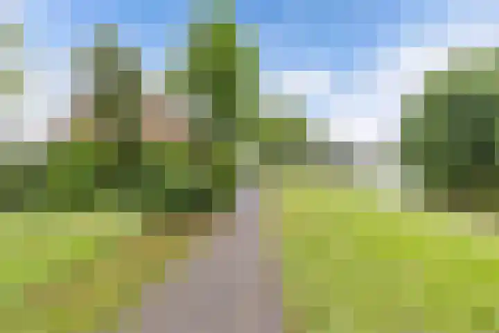 Hunze 171 Drachten thumbnail 32