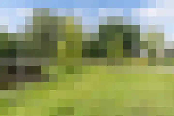 Hunze 171 Drachten thumbnail 33