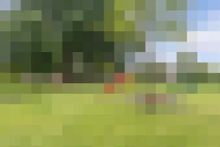Hunze 171 Drachten thumbnail 34