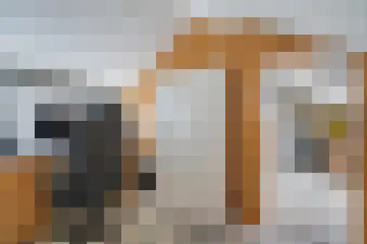 Hunze 20 Assen thumbnail 29
