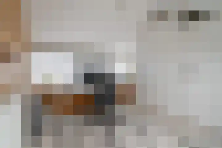 Hunze 20 Assen thumbnail 30