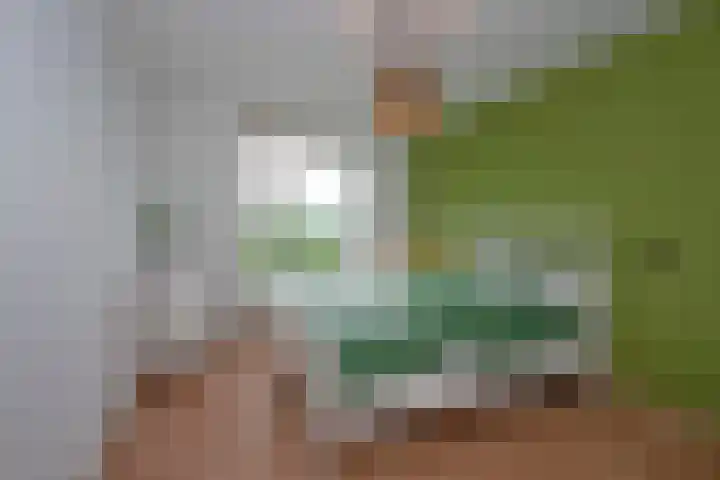 Hunzestraat 9 Enschede thumbnail 32