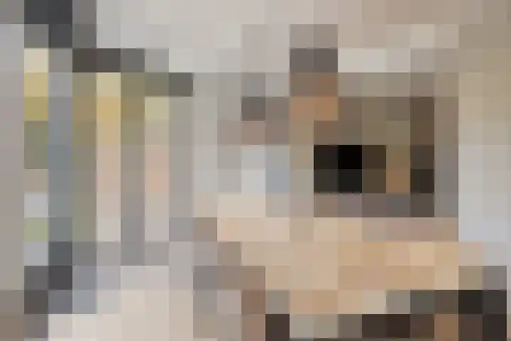 Hurk 124 Uden thumbnail 13
