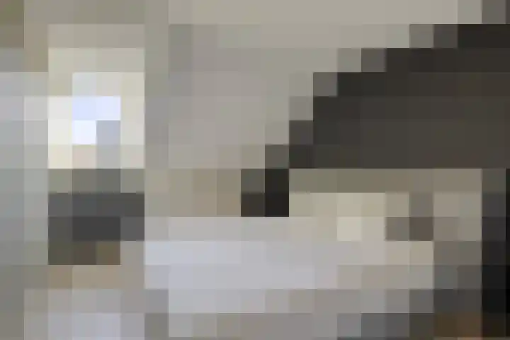 Hurk 124 Uden thumbnail 23