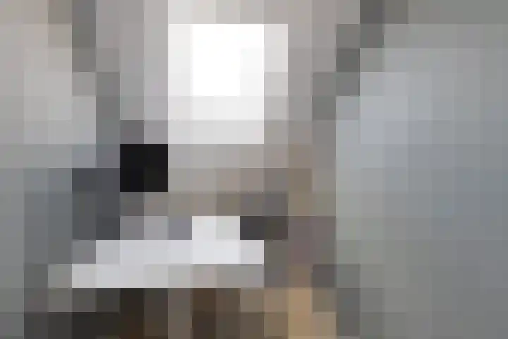 Hurk 124 Uden thumbnail 27