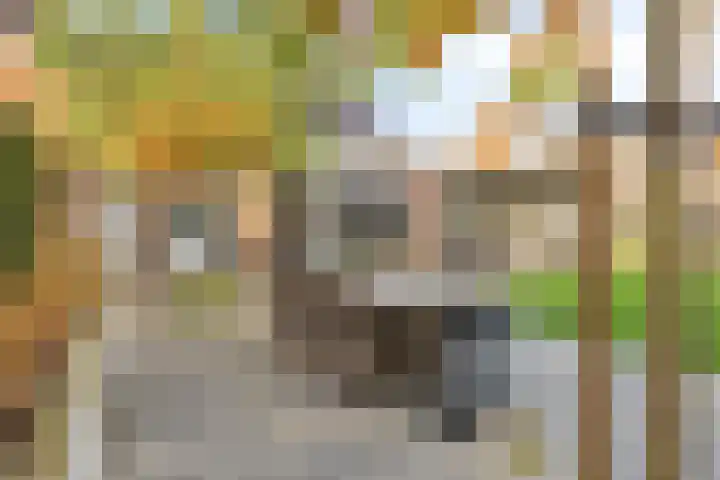 Hurk 124 Uden thumbnail 39