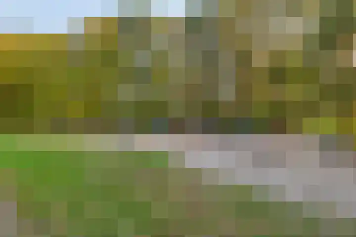 Hurk 124 Uden thumbnail 51