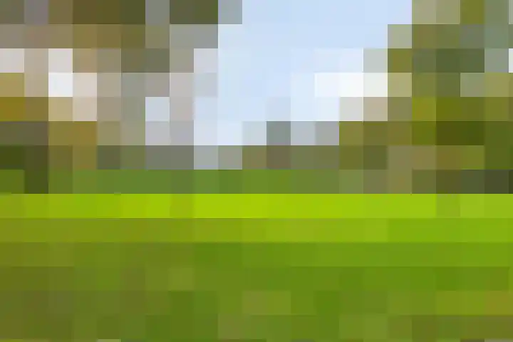 Hurk 124 Uden thumbnail 52
