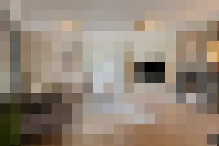 Hurk 124 Uden thumbnail 8
