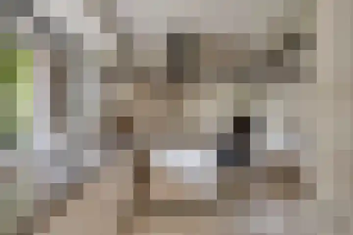 Hurk 209 Uden thumbnail 25