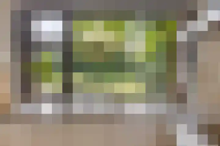 Hurk 209 Uden thumbnail 26