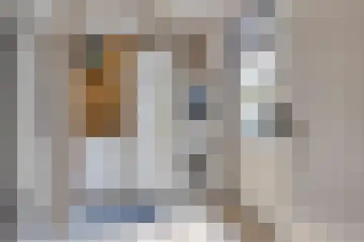 Hurk 209 Uden thumbnail 29