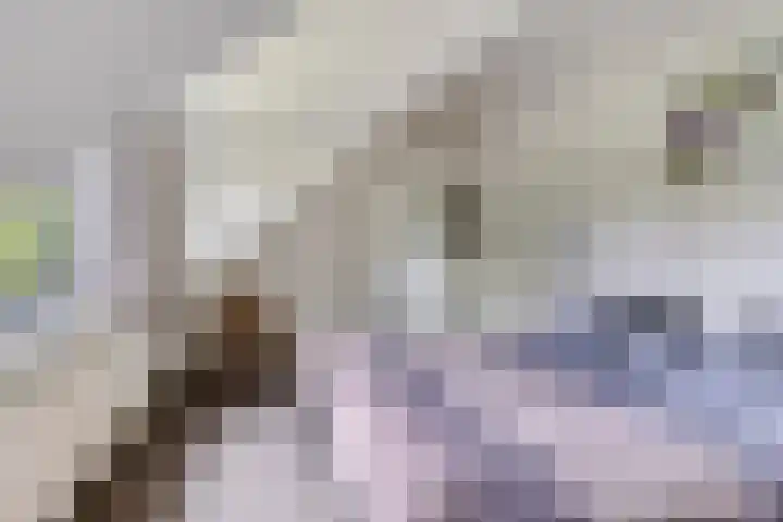 Hurk 209 Uden thumbnail 36