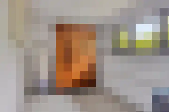 Hurk 209 Uden thumbnail 40