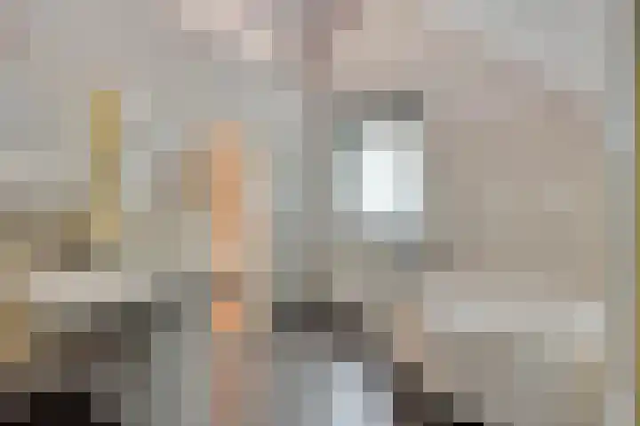 Hurk 209 Uden thumbnail 42