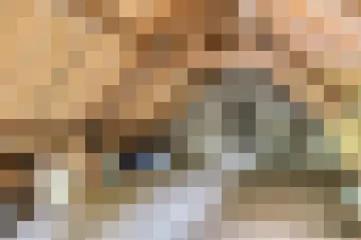 Hurk 209 Uden thumbnail 48